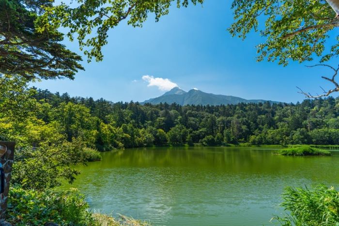 礼文島、姫沼